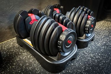 Bowflex dumbells