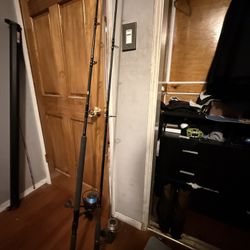 2 Fishing Poles (read description)