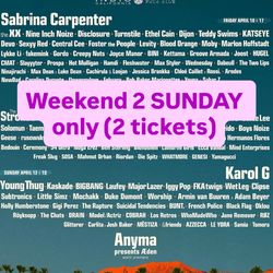 Coachella Weekend 2 SUNDAY only Tickets (2)