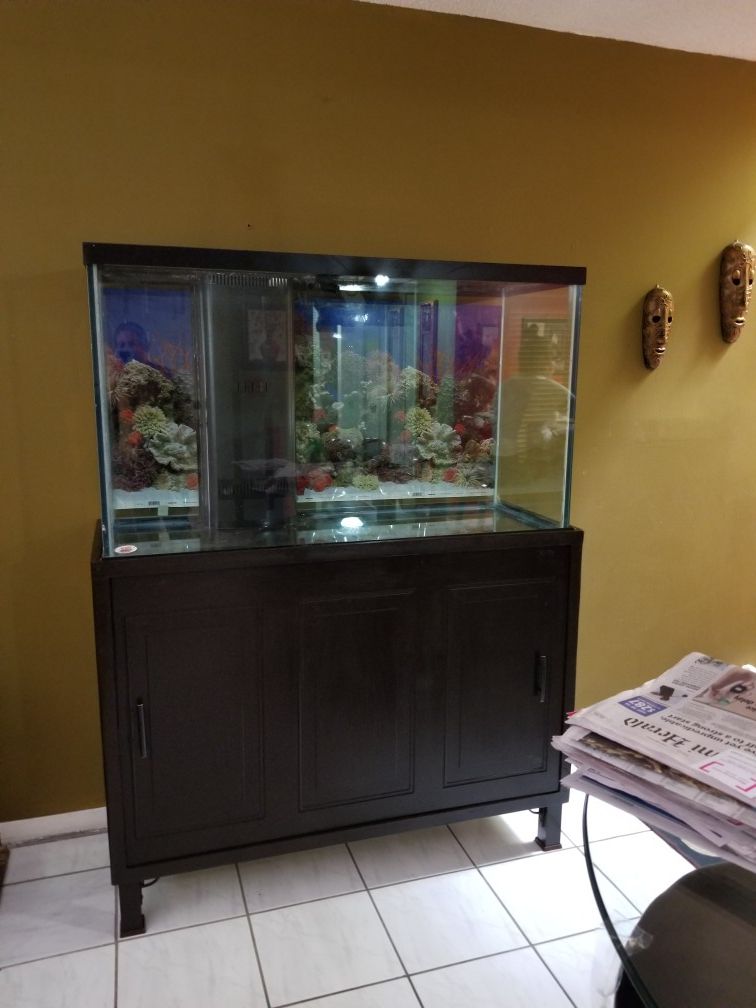 Fish tank,acuarium,pecera de cristal