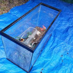 29 Gallon Fish Tank With Decorations 