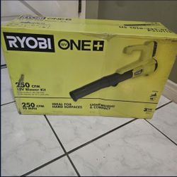 Ryobi 18v Blower Kit (new)