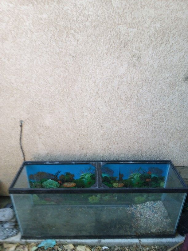 Large Fish Aquarium $40 OBO