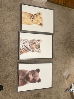 Animal portraits
