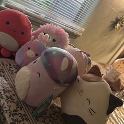 Animal Squishmellows with tags!