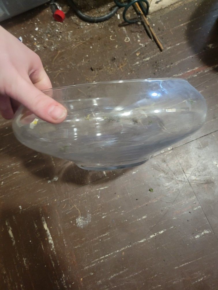 Glass Bowl