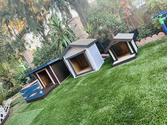 Dog Houses