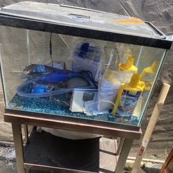 25 Gallon Fish Tank
