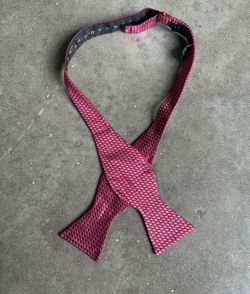 NEW Ted Baker Bow Tie
