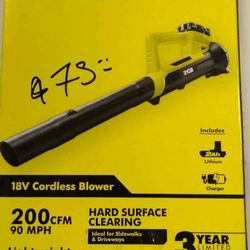 BLOWER RIOBY 18V KIT NEW 