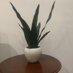 Artificial Plant