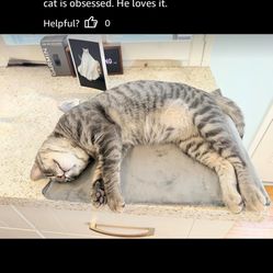 NICREW Dog Heating Pad with Durable Cord Protection, Auto Shut-Off Heated Cat Bed, Adjustable Temperature Warming Mat for Puppies & Senior Pets, 27.5 