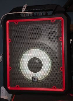 Edison Professional Speaker Model A-1200