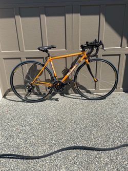 Bianchi Eros Donna