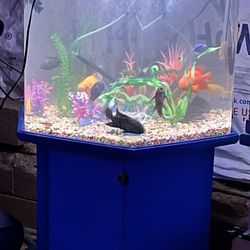 80-gallon acrylic fish tank 