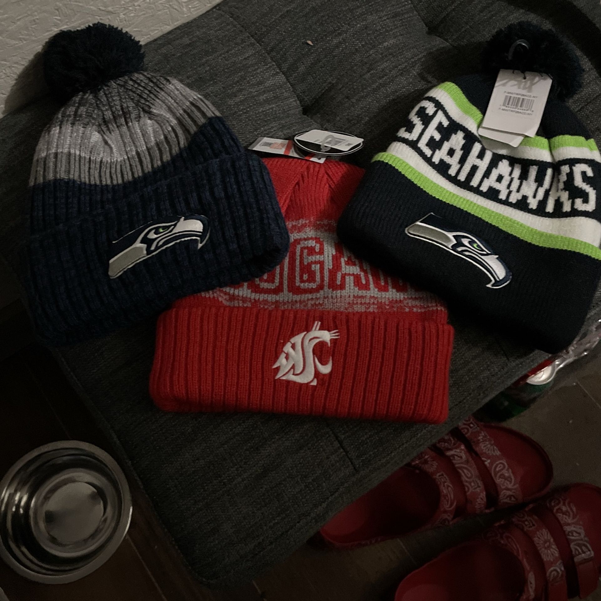 Beenie Lot 