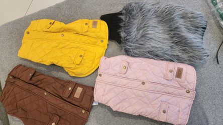 Cozy Winter Medium Dog Outfits