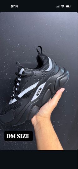 Dior b22