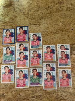 FIFA World Cup Panini stickers