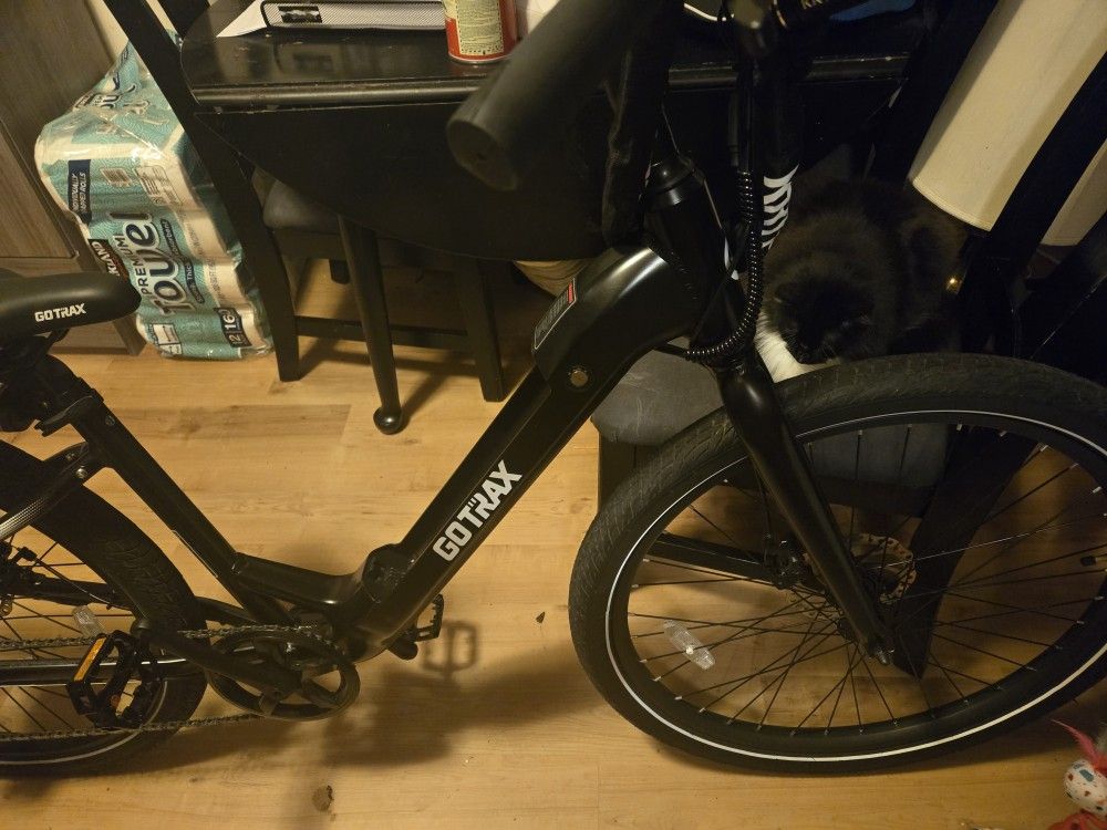 Go Trax Ebike