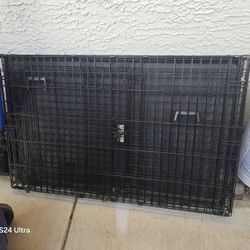 Big Dog Kennel