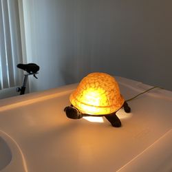 Antique Turtle Light