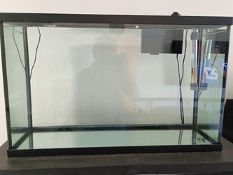 50 gallon fish tank