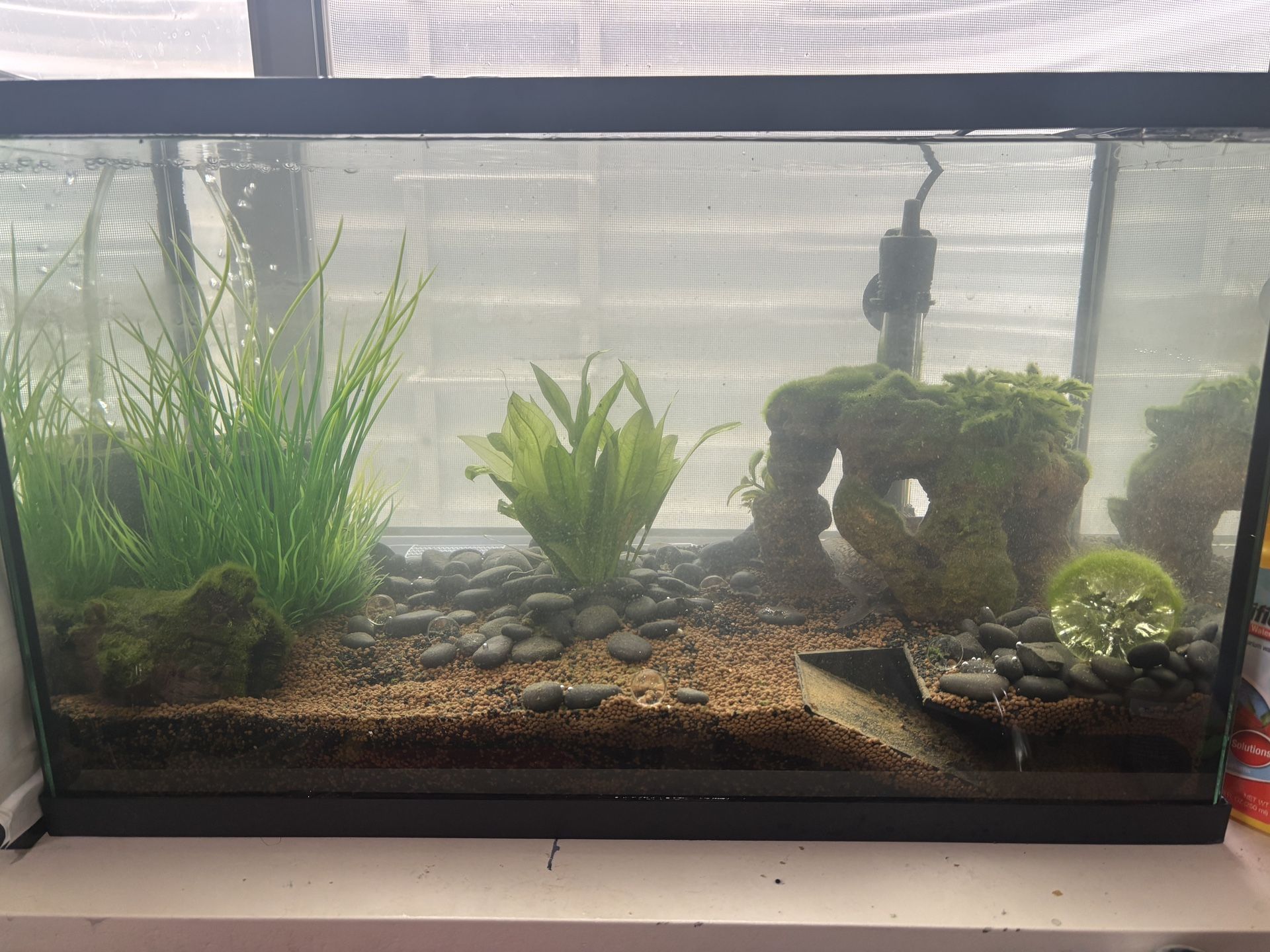 Fish Tank