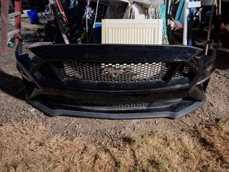 Bumper mustang