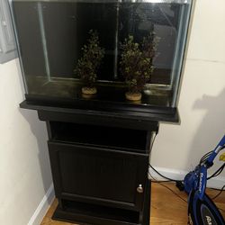 Fish Tank With Stand Led Light And Filter Included