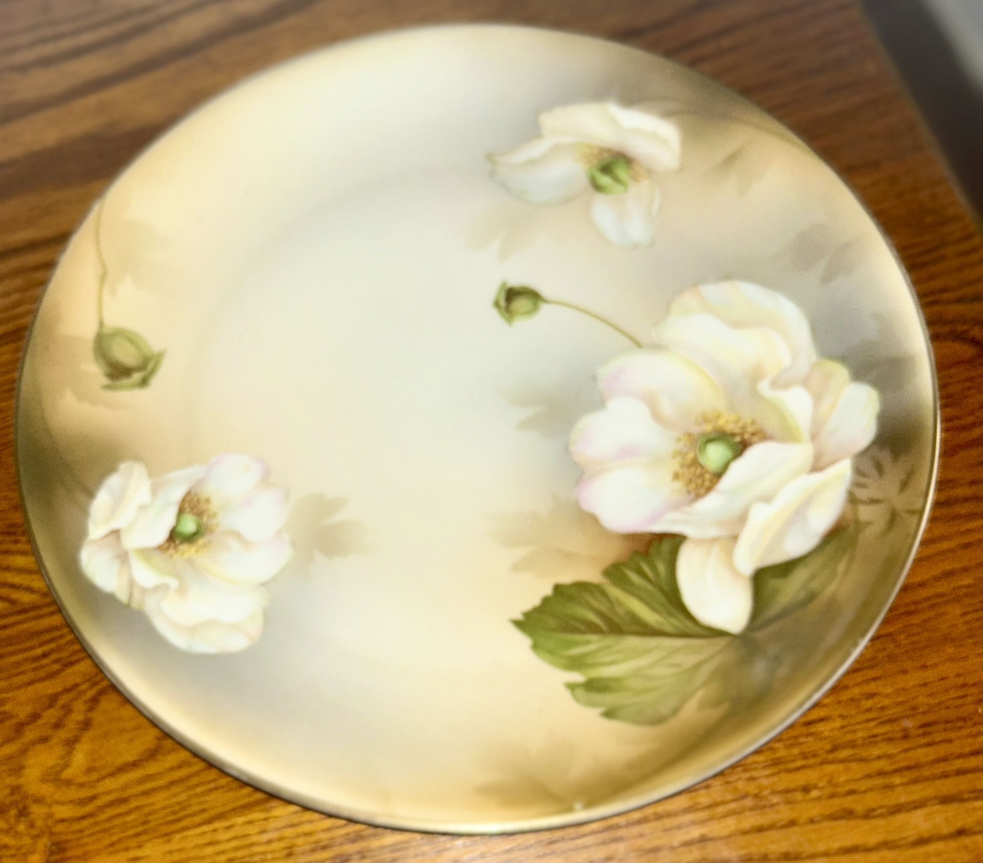 Antique RS Suhl Prussia Germany Porcelain Plate