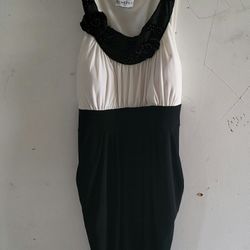Womens Dress Size Large