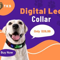 Digital LED Collar for Dog- NEW- SPECIAL OFFER!!!