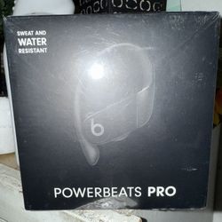 Beats Powerbeats Pro Wireless Earbuds
