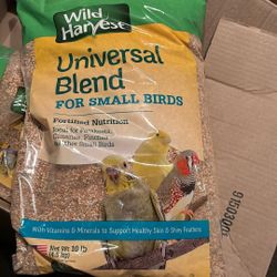Bird Feed