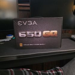 650 GQ Power Supply 