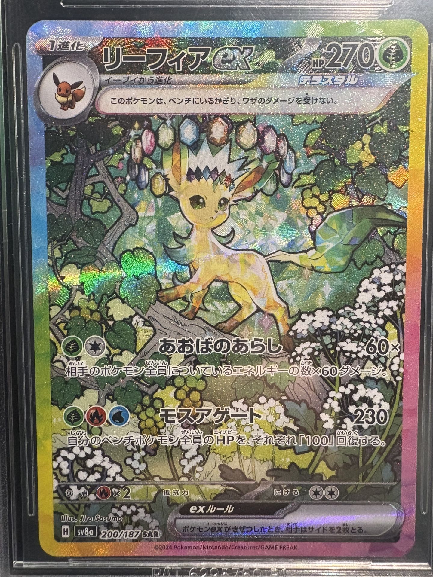 Pokemon Japanese Beckett Black Label (BGS) Leafeon EX SAR POP 10