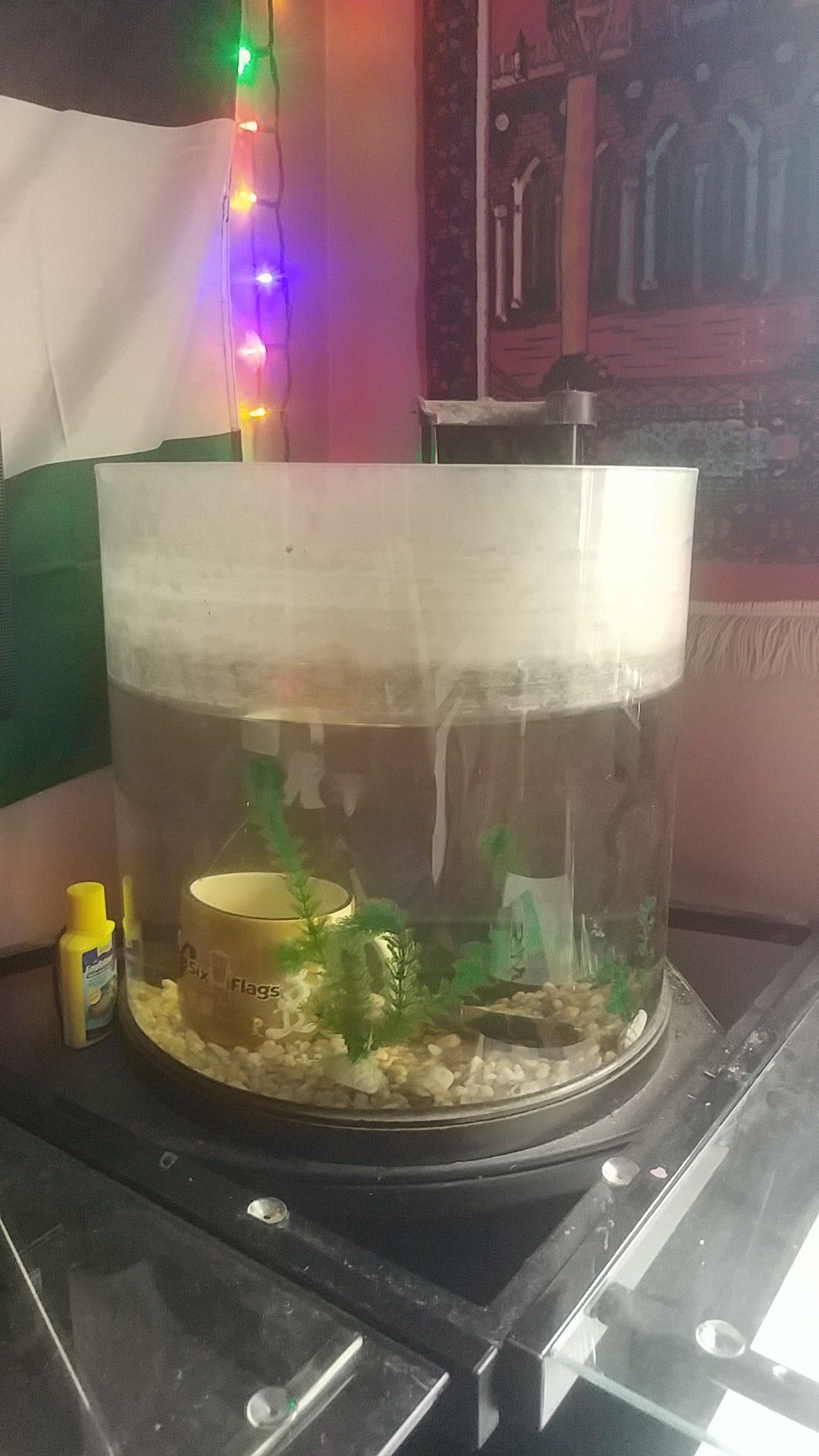 12 gallon fish tank with filter