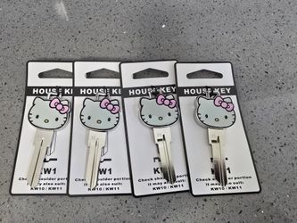 3D Hello Kity Key Kw1