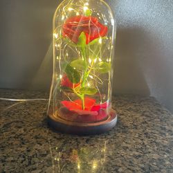 LED Lighted Roses In Glass