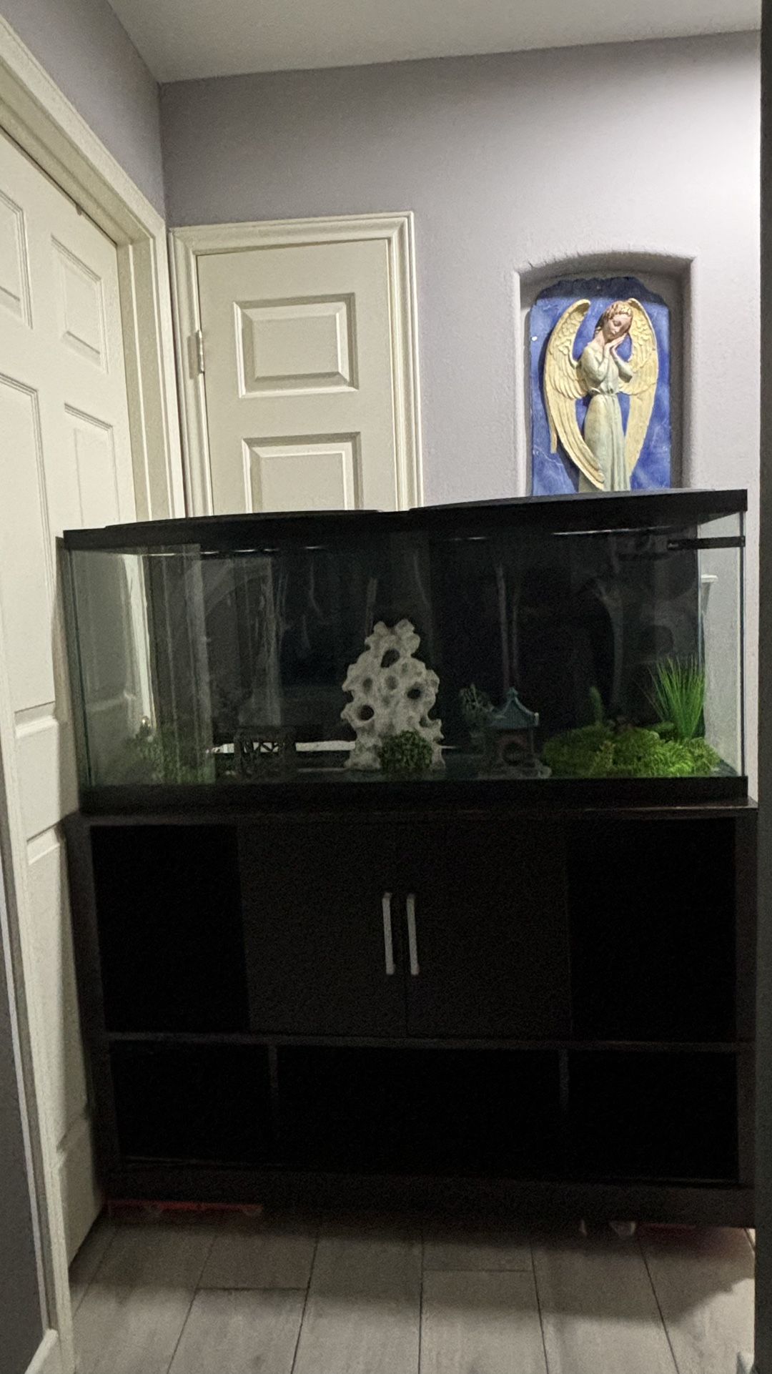 Aquarium 55 Gallons And Stand