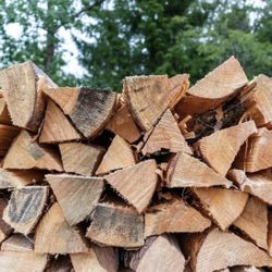 Selling Firewood 