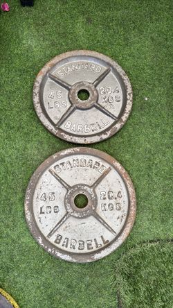 45 lb Plates Standard Barbell