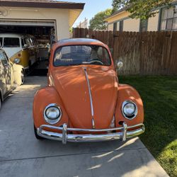 1965 Volkswagen Beetle