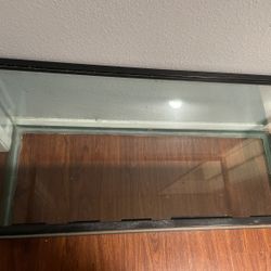 75 Gallon Tank!