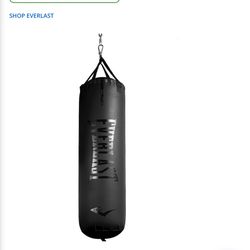 Everlasting Punching Bag 
