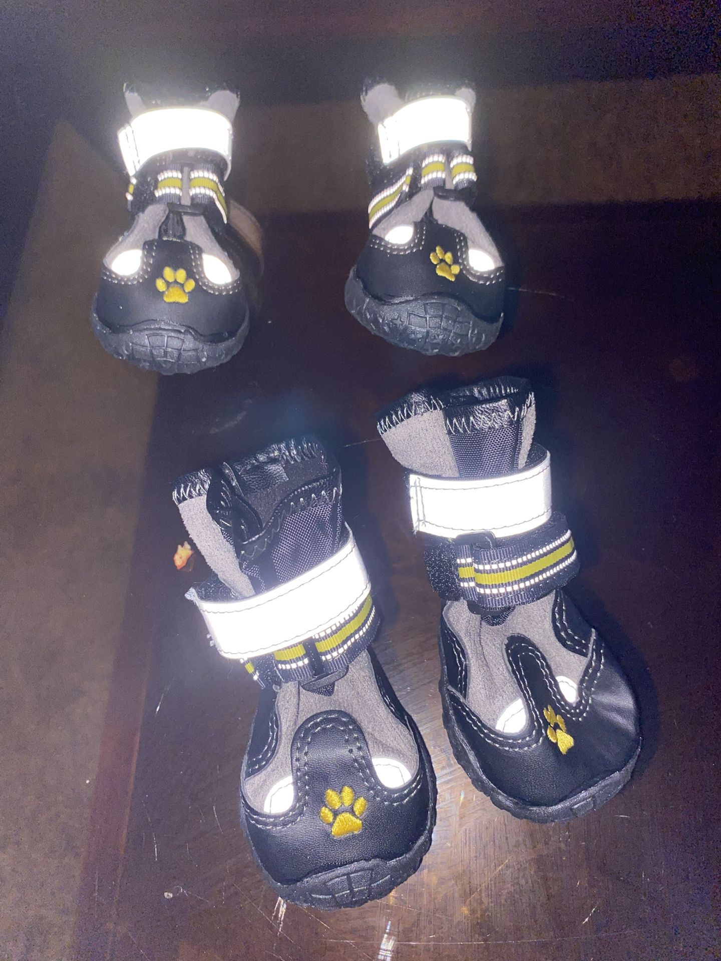 Puppy Shoes