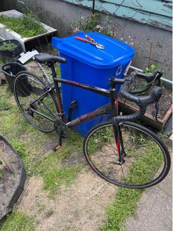 Giordano Bicycle