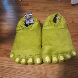 Shrek Slippers