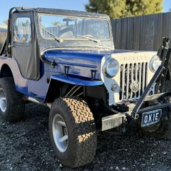 1954 Jeep Willy CJ 3B